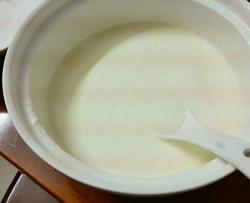 简易自制酸奶