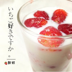 分层/草莓蜂蜜酸奶
