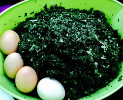 荠菜饺子