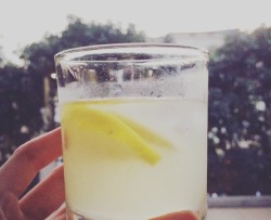 冰冻蜂蜜柠檬水
