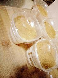木糠杯