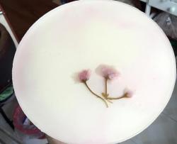 樱花酸奶慕斯