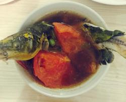美味昂刺鱼西红柿汤