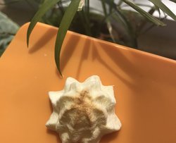 二撸的蛋白霜—菜鸟亲验