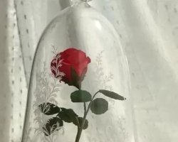 糖花之玫瑰花