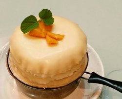 芒果千层