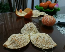 自制陈皮