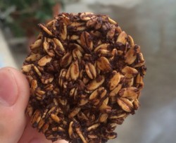 燕麦椰蓉能量饼干