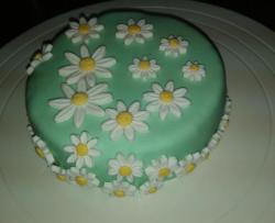 翻糖蛋糕-雏菊