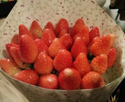 情人节草莓花