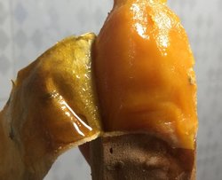 烤红薯
