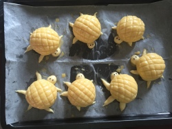 小乌龟菠萝包--饼子搬运