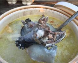 甲鱼汤