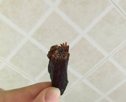 烤牛肉干