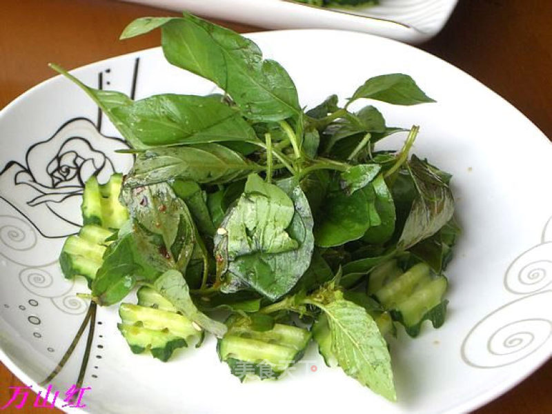 凉拌特色香草蔬菜---荆芥