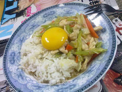 【飞禽走兽】鲜香滑蛋烩饭