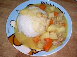 椰浆咖喱炖鸡肉
