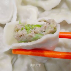 猪肉西葫饺子