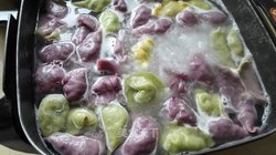 多彩水饺