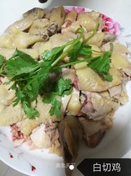 白切鸡