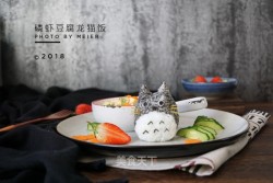 磷虾豆腐龙猫饭