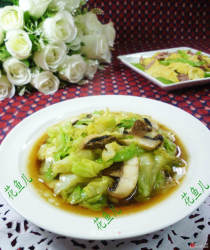 鲜蘑菇炒圆白菜