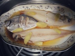清蒸海鱼-龙利鱼鳊鱼