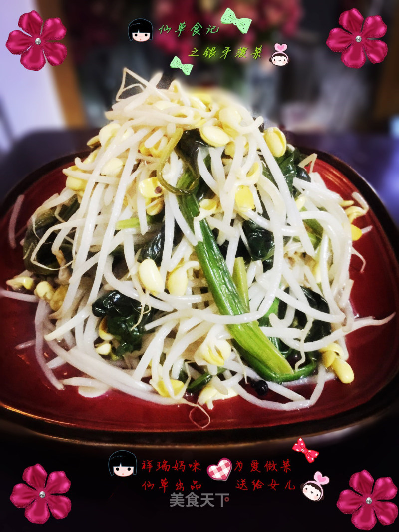 仙草阁私房菜（蔬菜大棚）--春分平和静心银芽菠菜