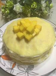 网红芒果千层