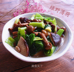 小白菜烩蘑菇