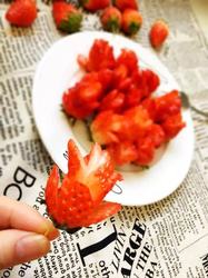 蜜汁草莓花