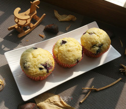 蓝莓玛芬(Blueberry Muffin)