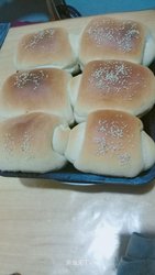 奶香芝麻餐包
