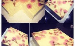 樱花芝士蛋糕