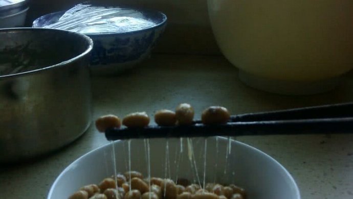 纳豆