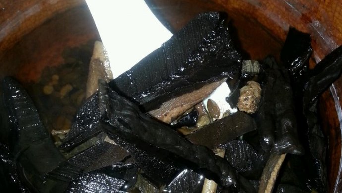 灵芝杜仲黄芪党参女贞子枸杞补气补肾汤 强筋健骨 全家可以吃