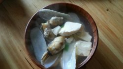 蛏子豆腐汤