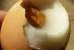 鸡蛋布丁(仿真版)
