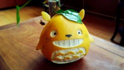 柚子龙猫