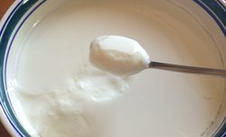 不用酸奶机自制酸奶