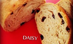 【❤保罗教你做面包】麦芽葡萄干面包 Malt Loaf