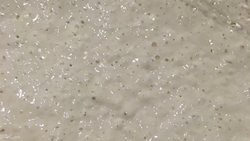 天然酵母 葡萄干款~