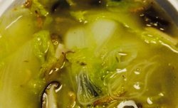 上汤娃娃菜