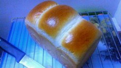 100%中种北海道吐司