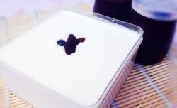 一键制作蓝莓酸奶--东菱DL-T12面包机试用报告四