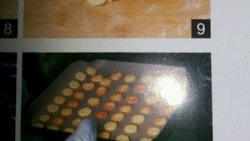 栗子饼干