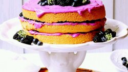 紫薯酸奶裸蛋糕