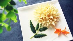 糟油茭白大丽花