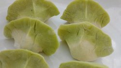 白菜样饺子
