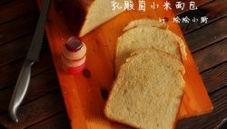 乳酸菌小米面包